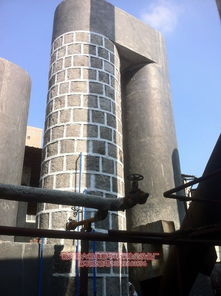 广州新生20吨锅炉麻石脱硫除尘器设计施工单位